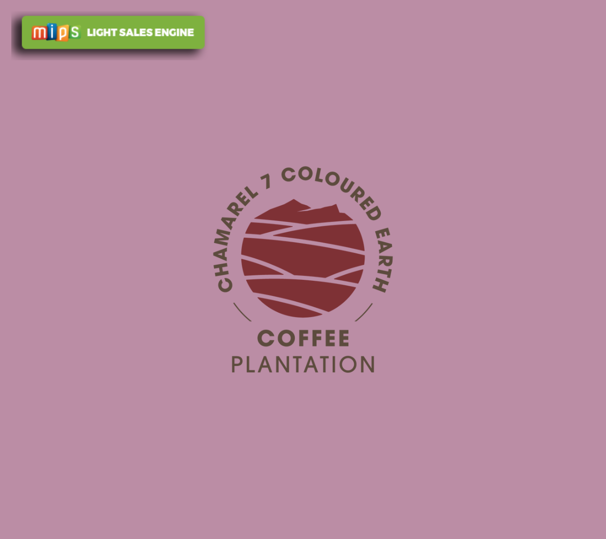 Coffee Tour - Chamarel Coffee Plantation